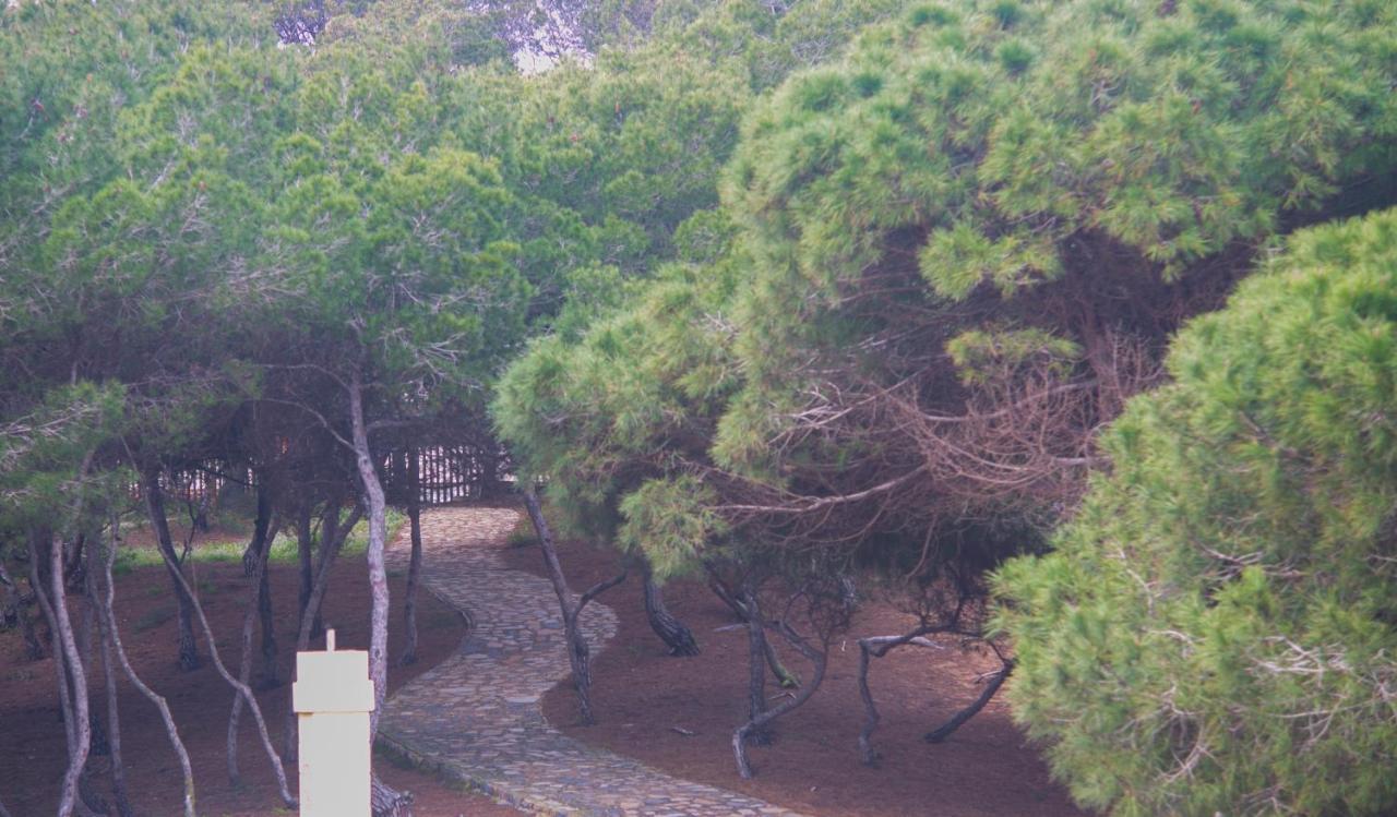 Hotel Parquemar Guardamar del Segura Esterno foto